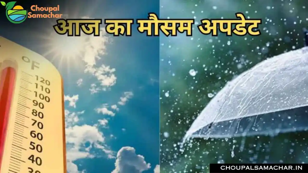 Today Weather