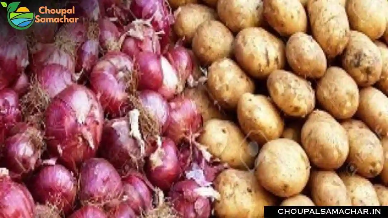 Onion Garlic Price