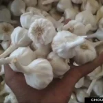 Garlic Onion Price