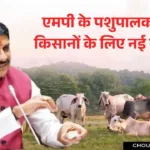 Animal Husbandry Scheme