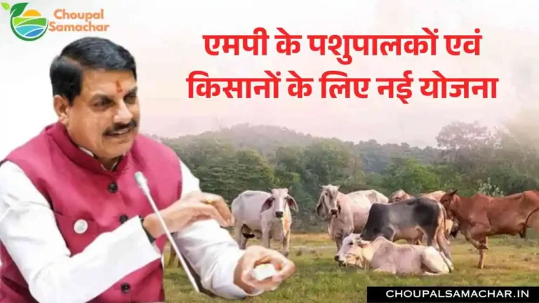 Animal Husbandry Scheme