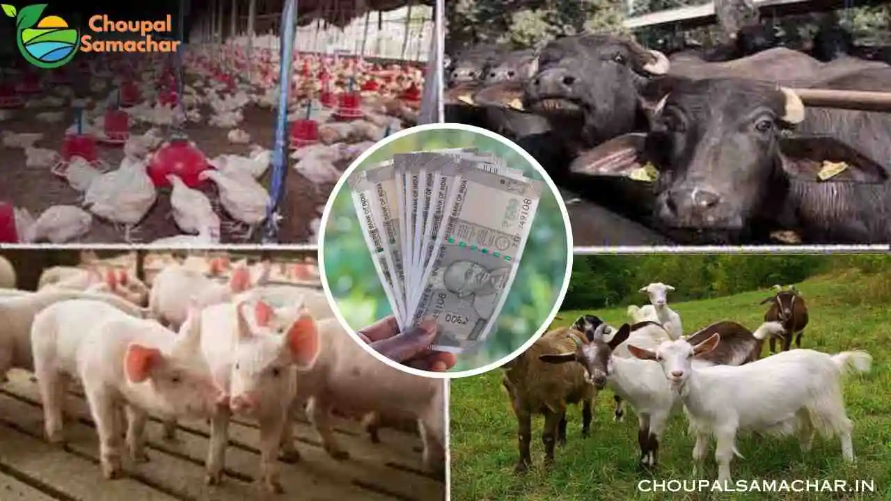 Subsidy Scheme