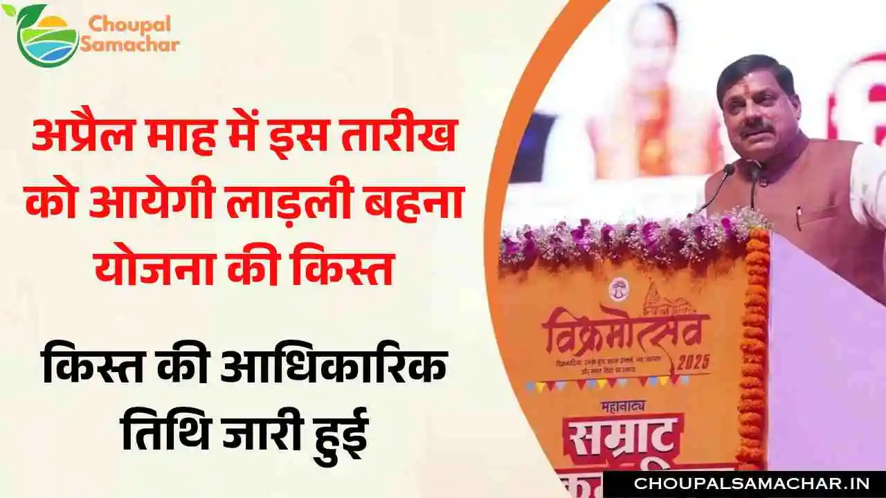 Woman Scheme