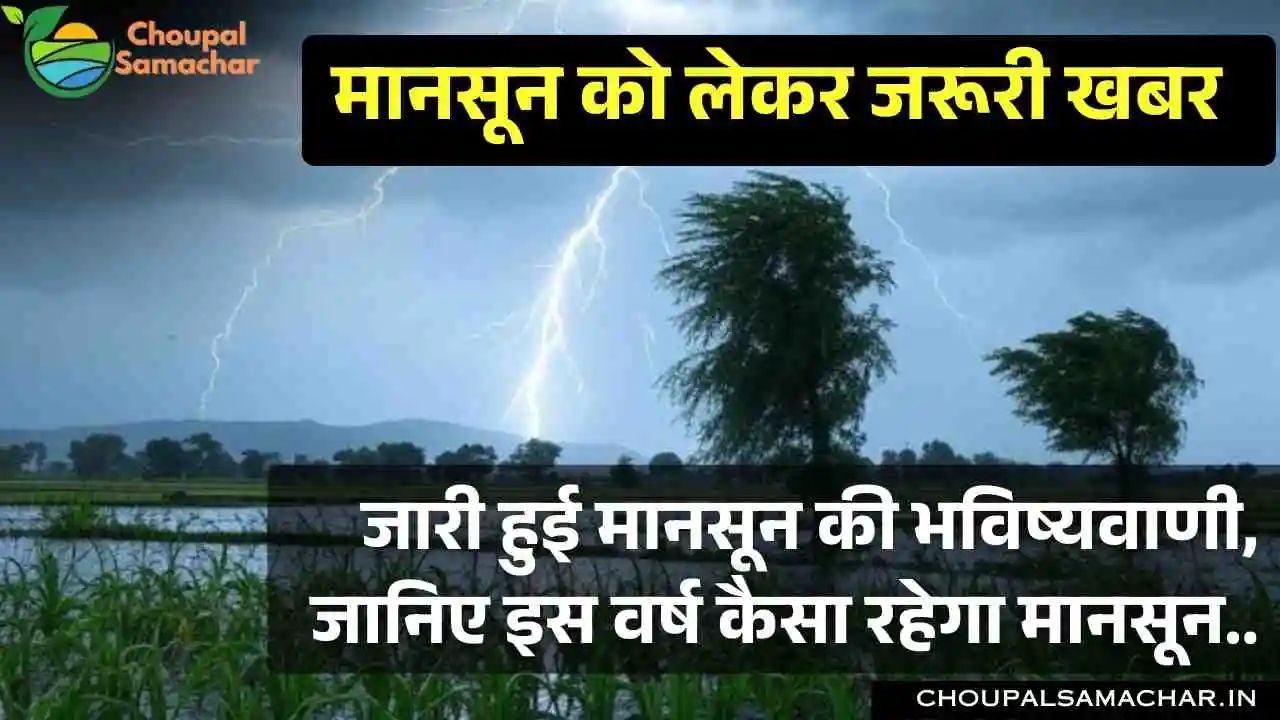 Monsoon 2025
