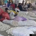 Garlic Onion Mandi Price