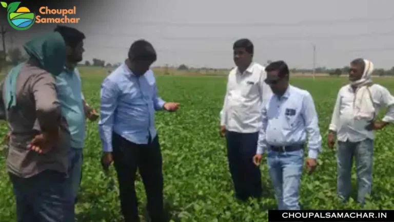 Mung crop Advisory