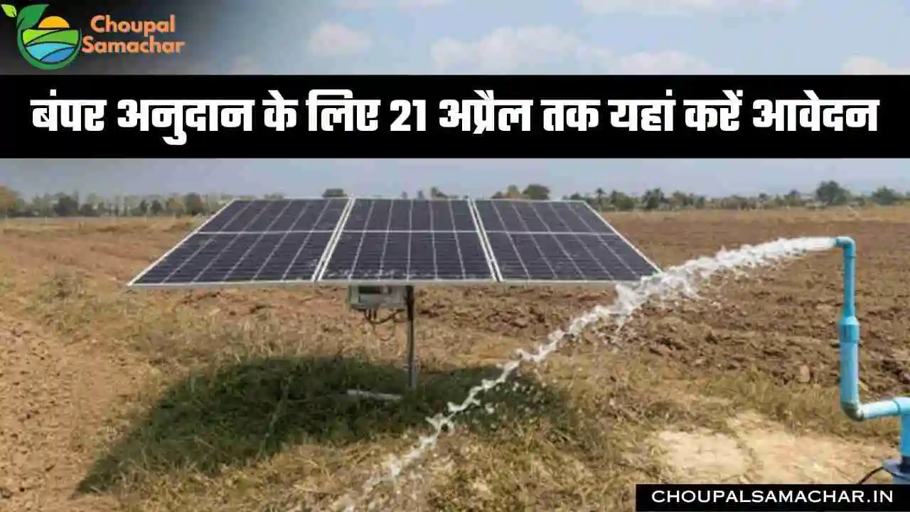 Solar Pump Subsidy Scheme