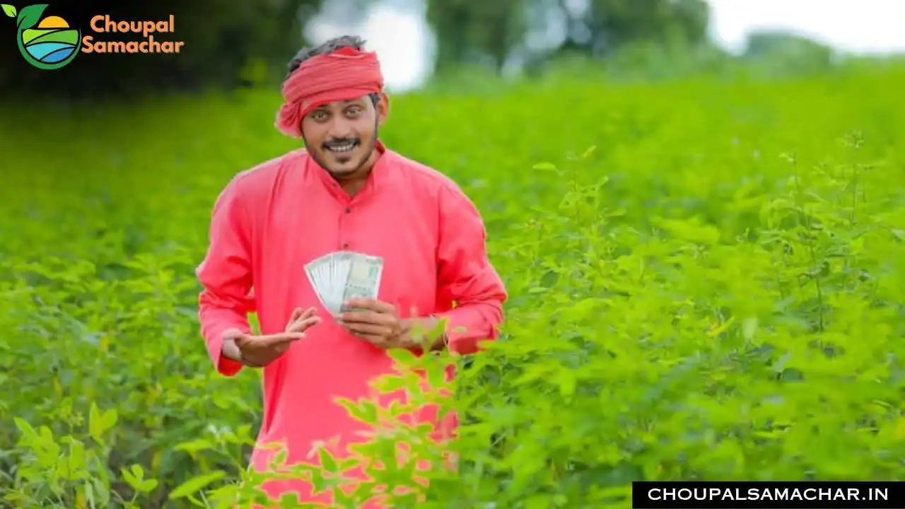 PM Kisan Scheme