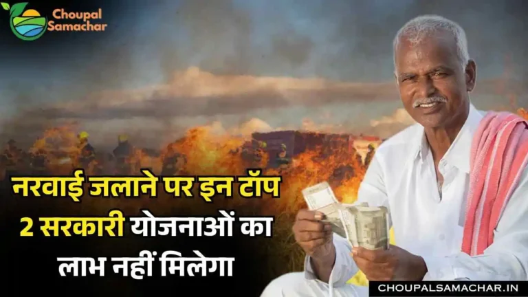 Government Scheme