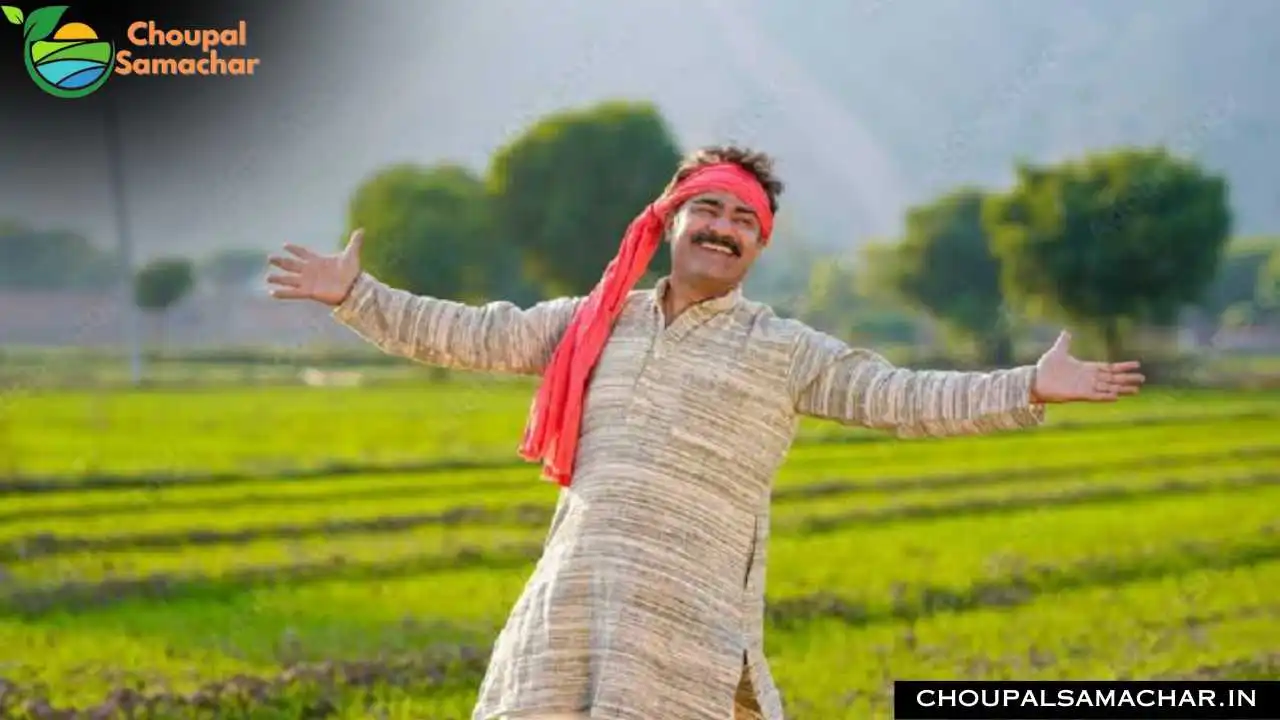 Organic Fertilizer Scheme