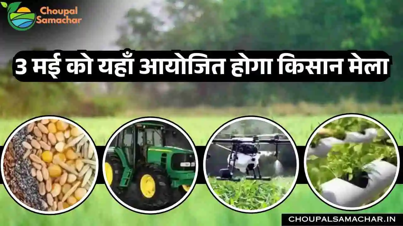 Farmers Fair