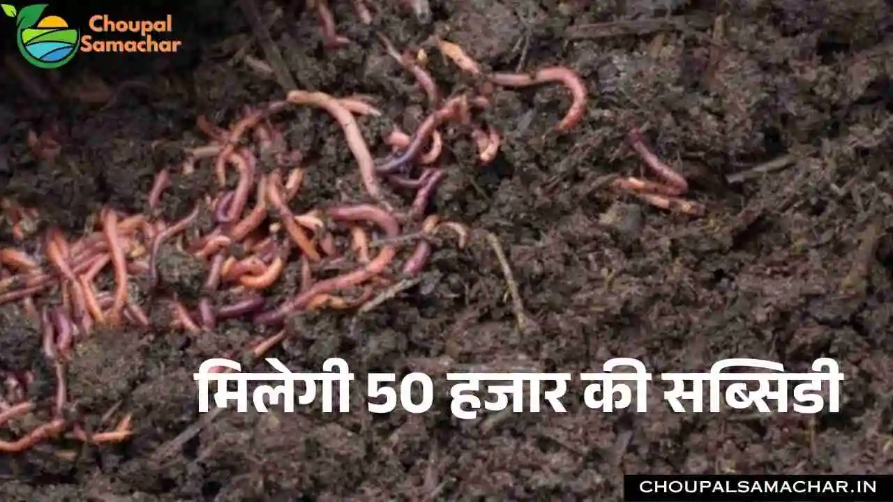 Vermicompost Unit Scheme