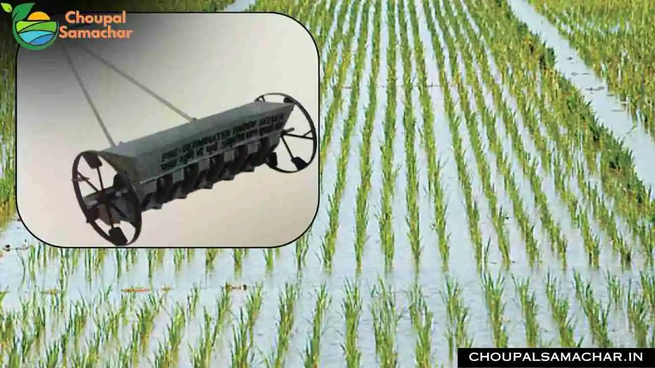 Paddy Seeder Machine