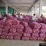 Mandi Price Today