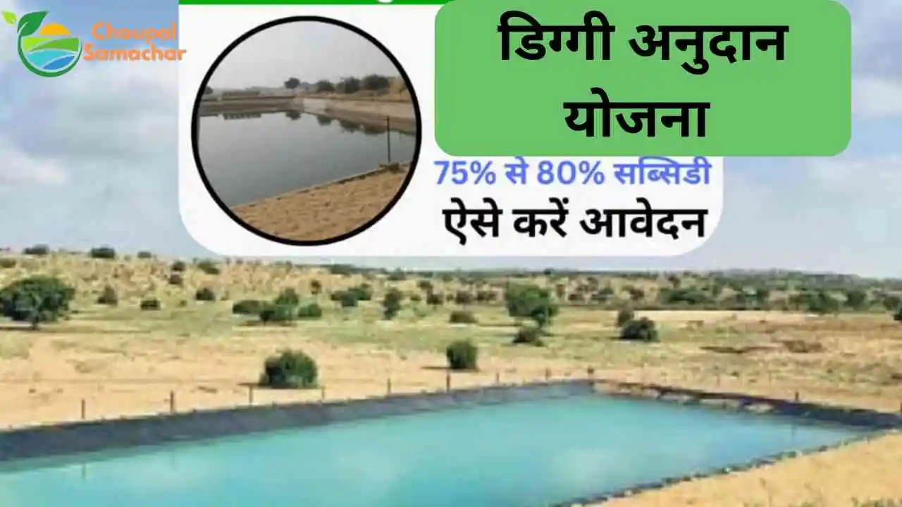 Diggi Scheme Subsidy