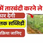 Tarbandi Scheme 2025