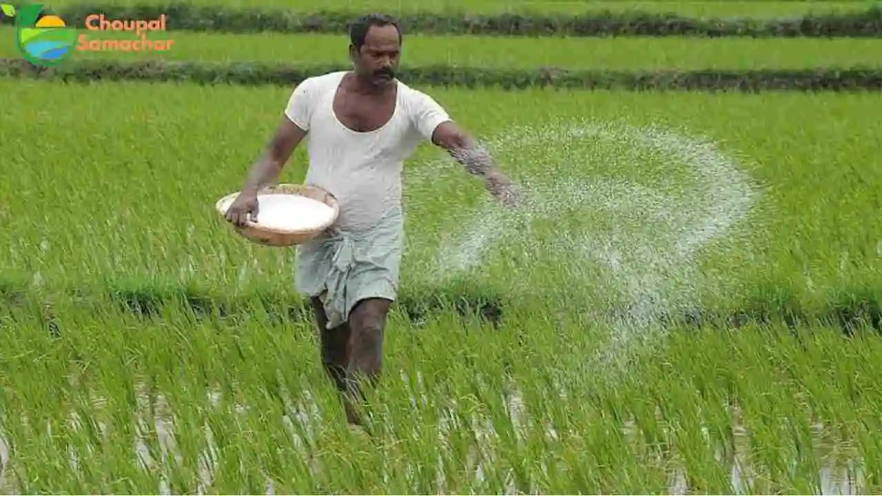 Fertilizer Rate 2025