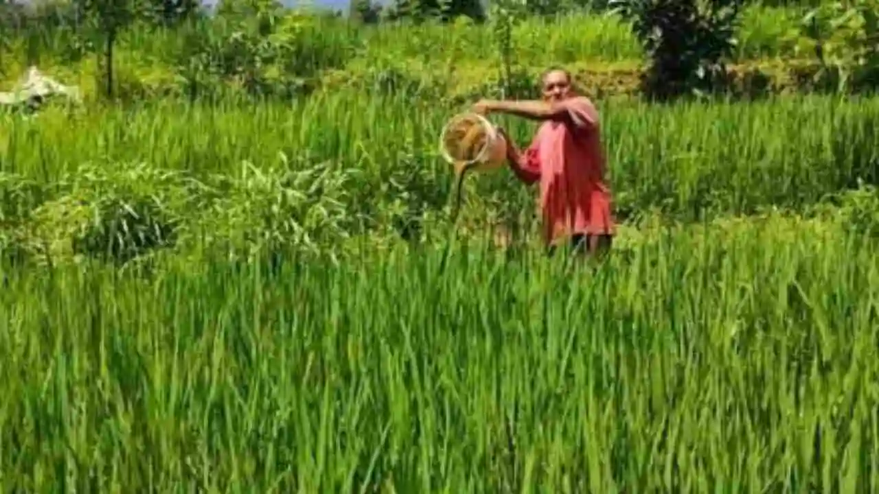 Natural Farming