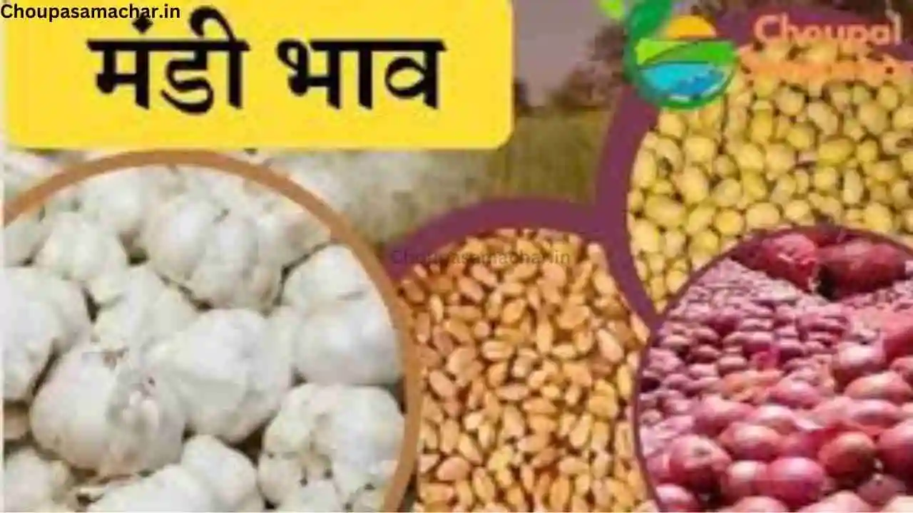 Potato Onion Garlic Price