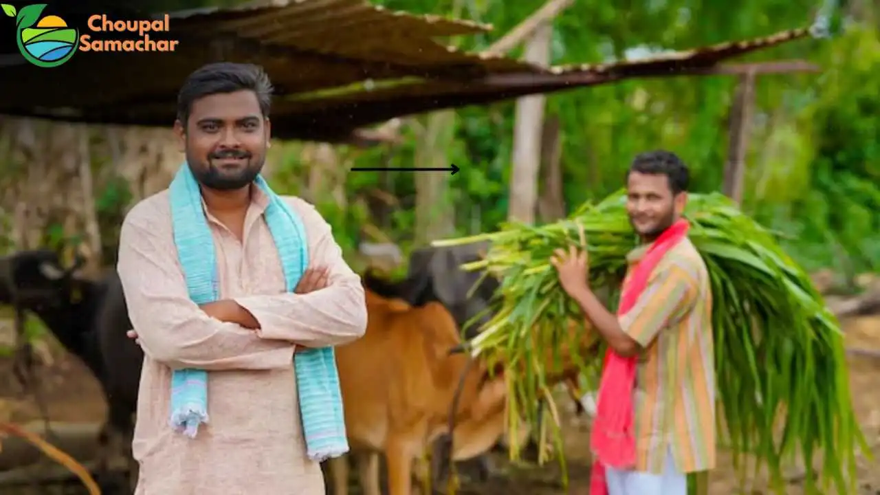 MNREGA Pashu Shed Subsidy