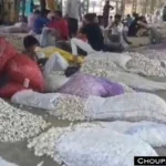 Onion Garlic Price