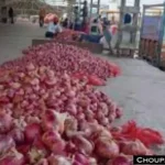 Onion Garlic Price