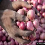 Today Onion Garlic Price