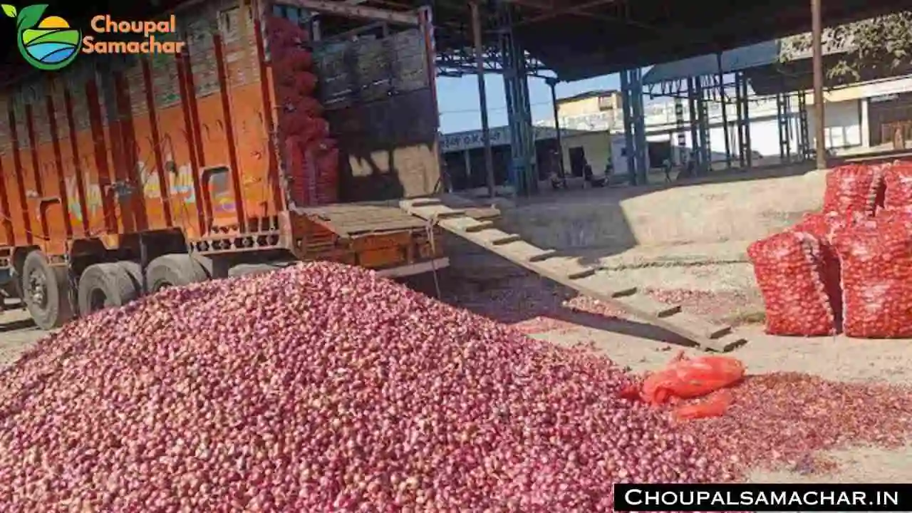 Onion Garlic Rate Today