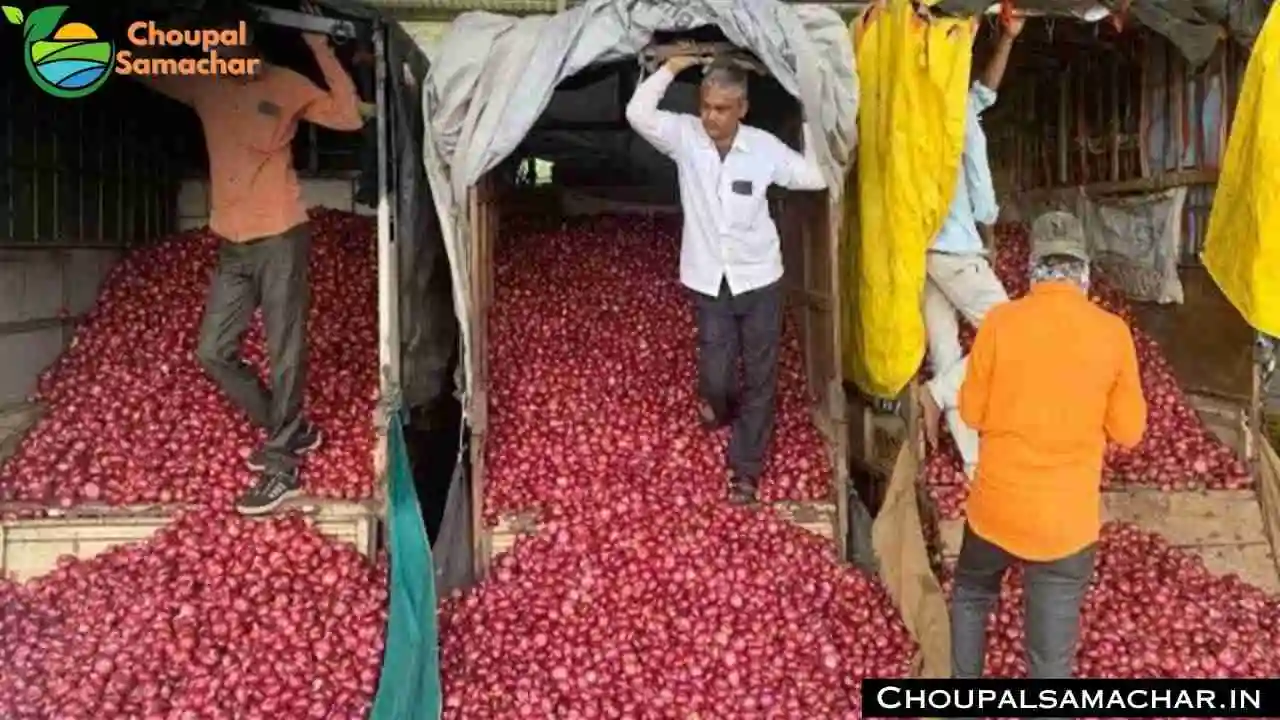 Today Onion Garlic Price