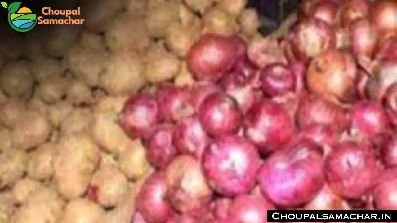 Garlic Onion Price