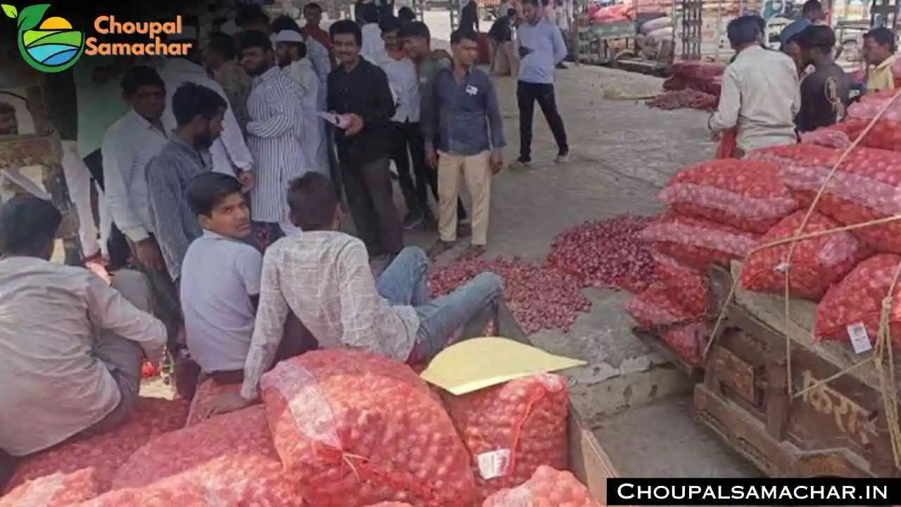 Commodities Mandi Rate