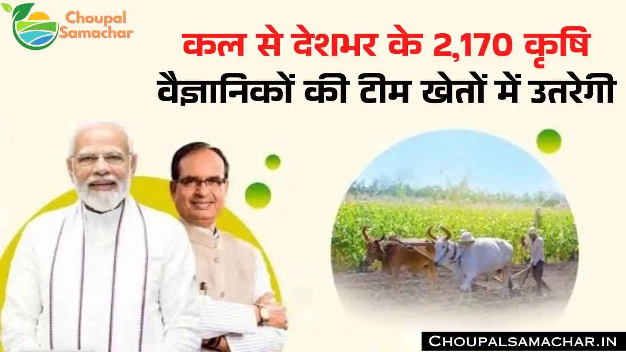 National Agriculture Campaign
