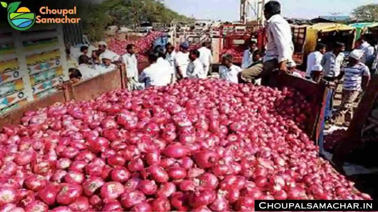 Mandi Rates