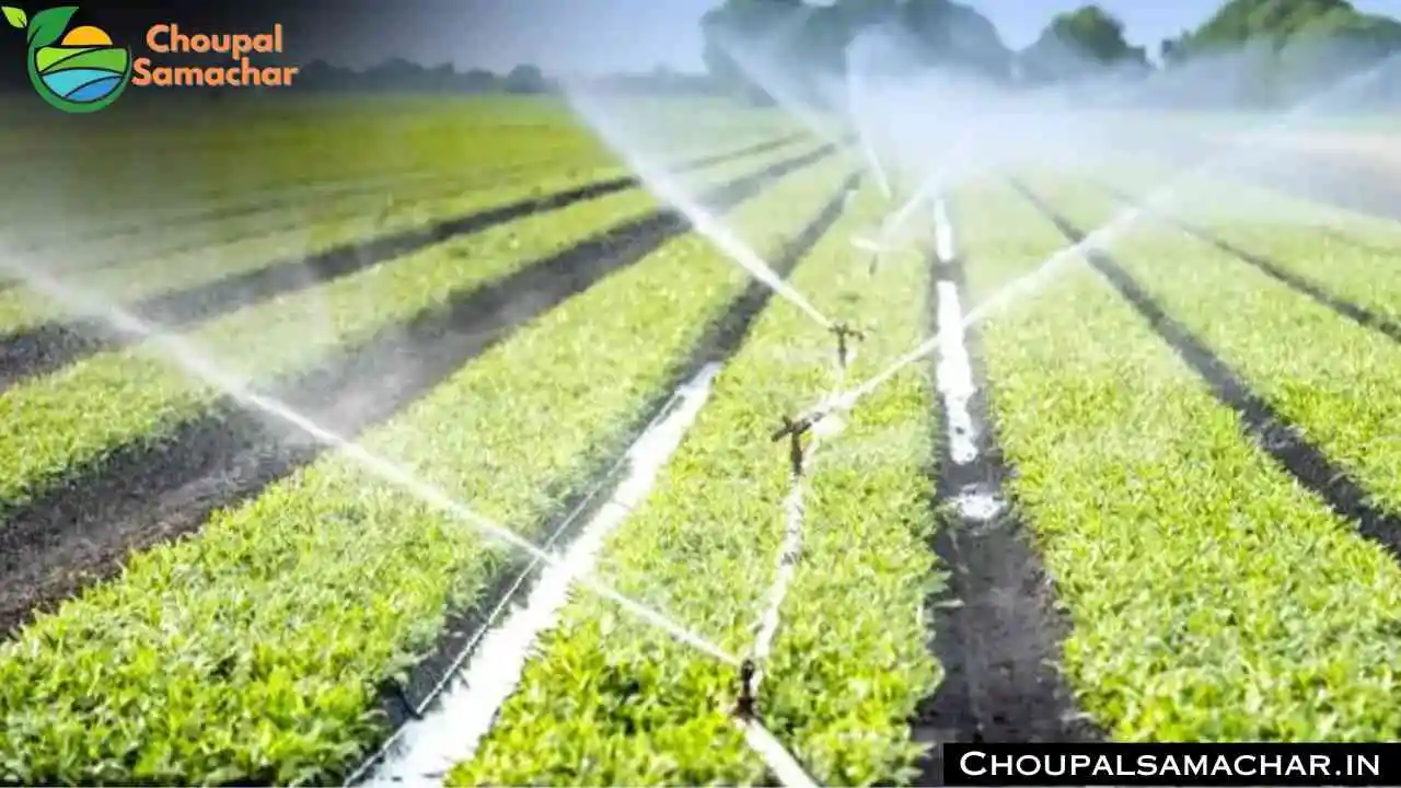 Sprinkler System Subsidy
