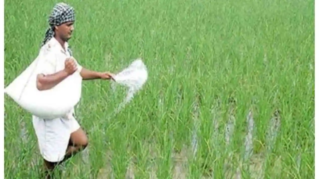 SSP Fertilizer