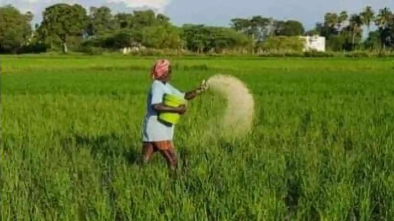 Fertilizer Scheme