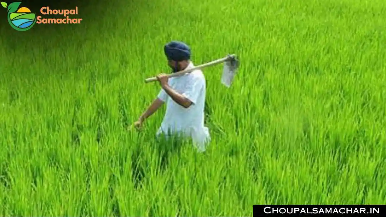 Agriculture Resolution Campaign