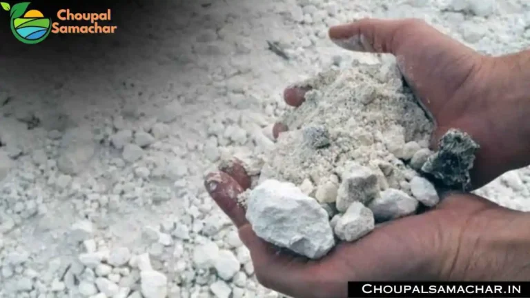 Gypsum Fertilizer
