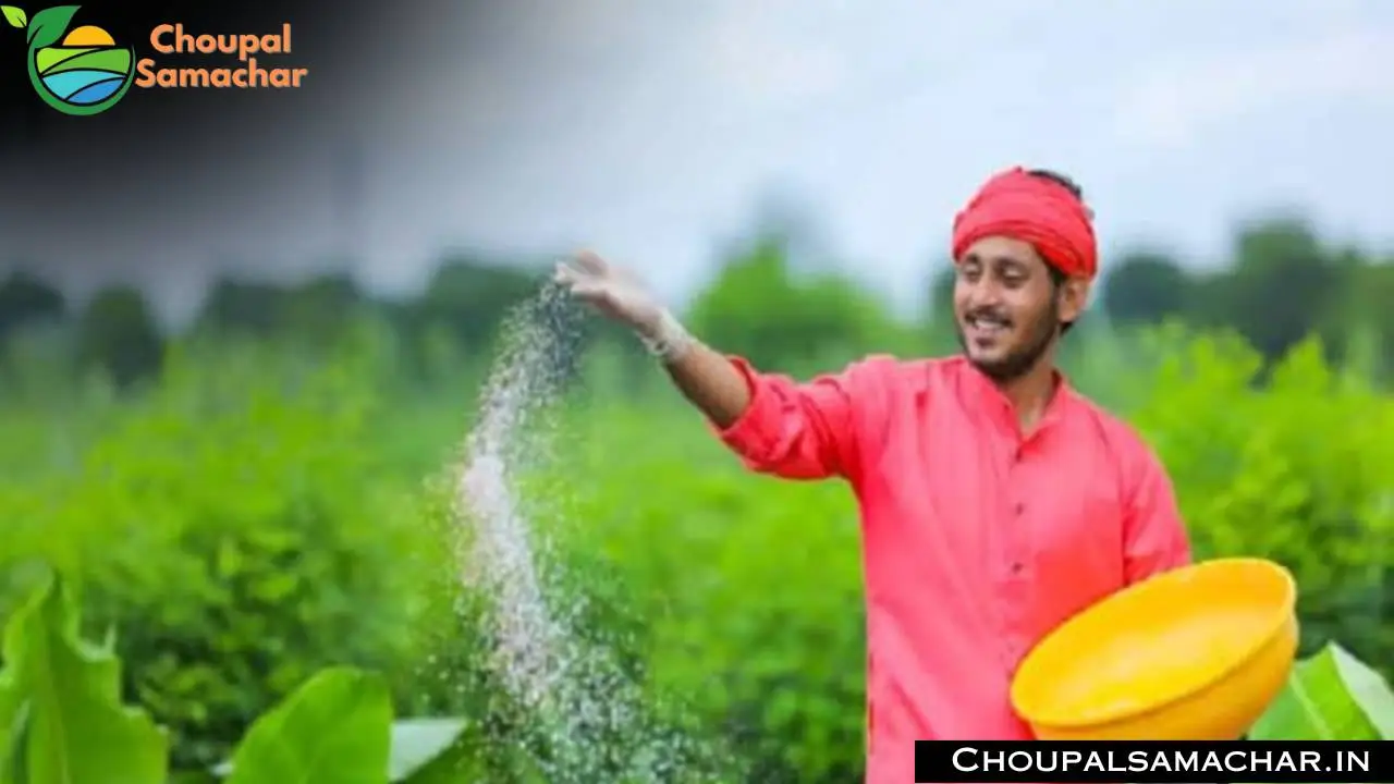 Fertilizer