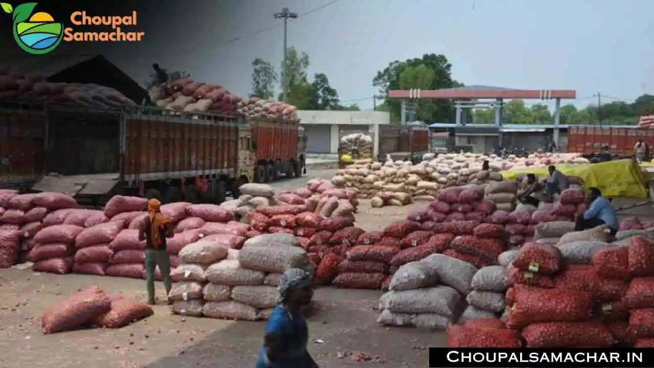 Onion Garlic Mandi Rates
