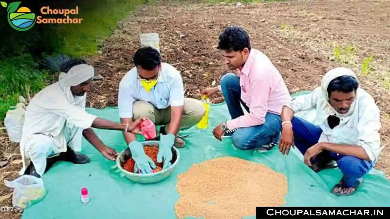 Kharif Crops