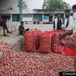 Onion Garlic Rates