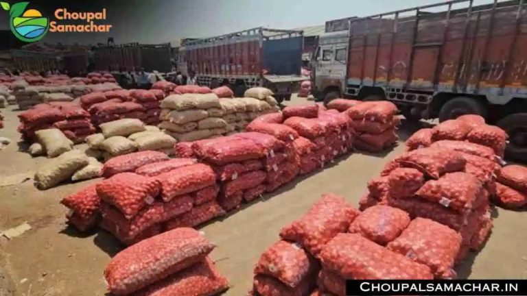 Mandi Rate Onion Garlic