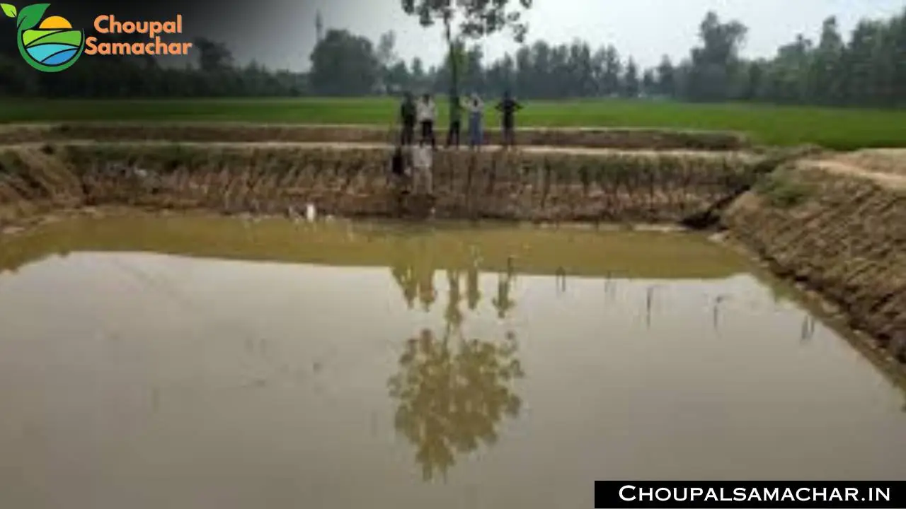Subsidy on Pond