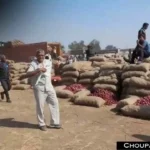 Mandi Rate Garlic