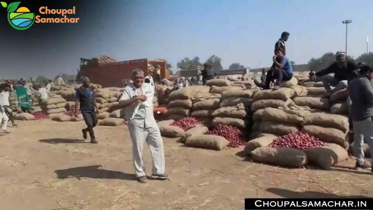 Mandi Rate Garlic
