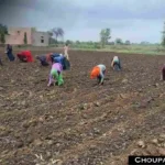 Kharif Crop