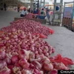 Onion Garlic Potato