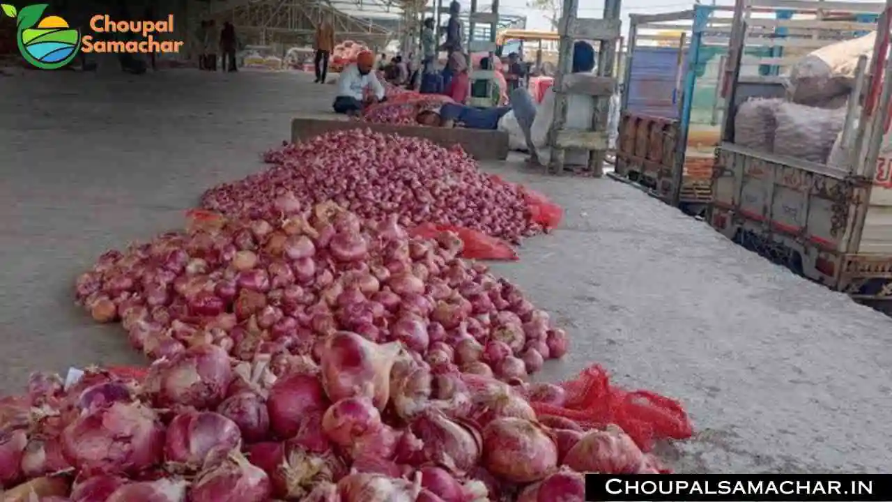Onion Garlic Potato