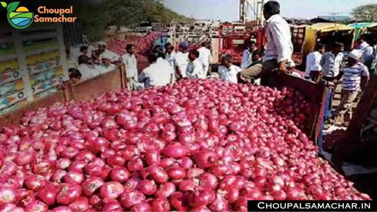 Today Onion Garlic Rate